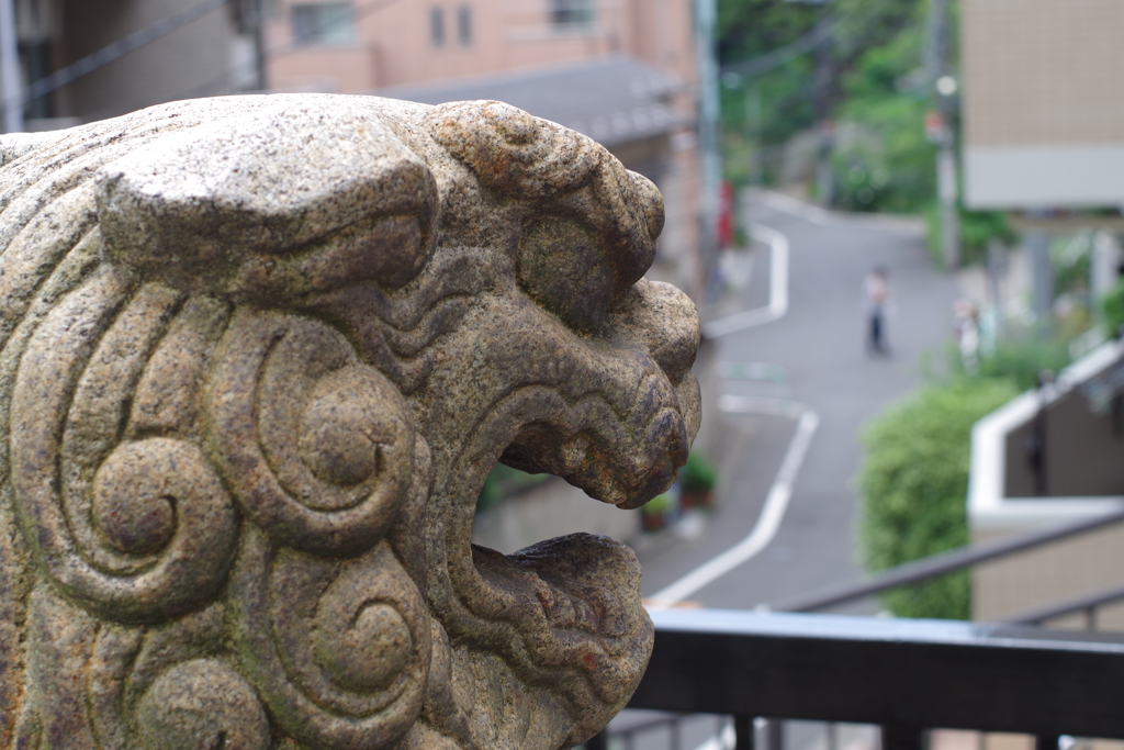 狛犬_駒込日枝神社