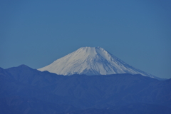 富士山_都庁展望台