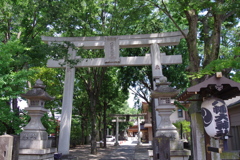 鳥居_八幡大神社