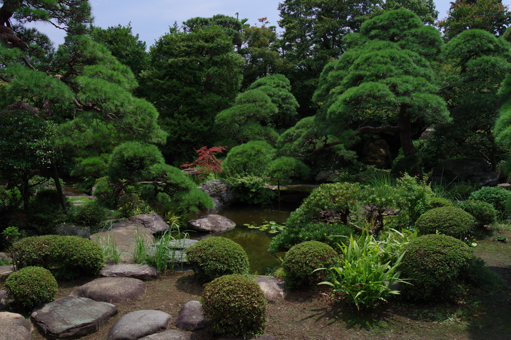 庭園_山本亭