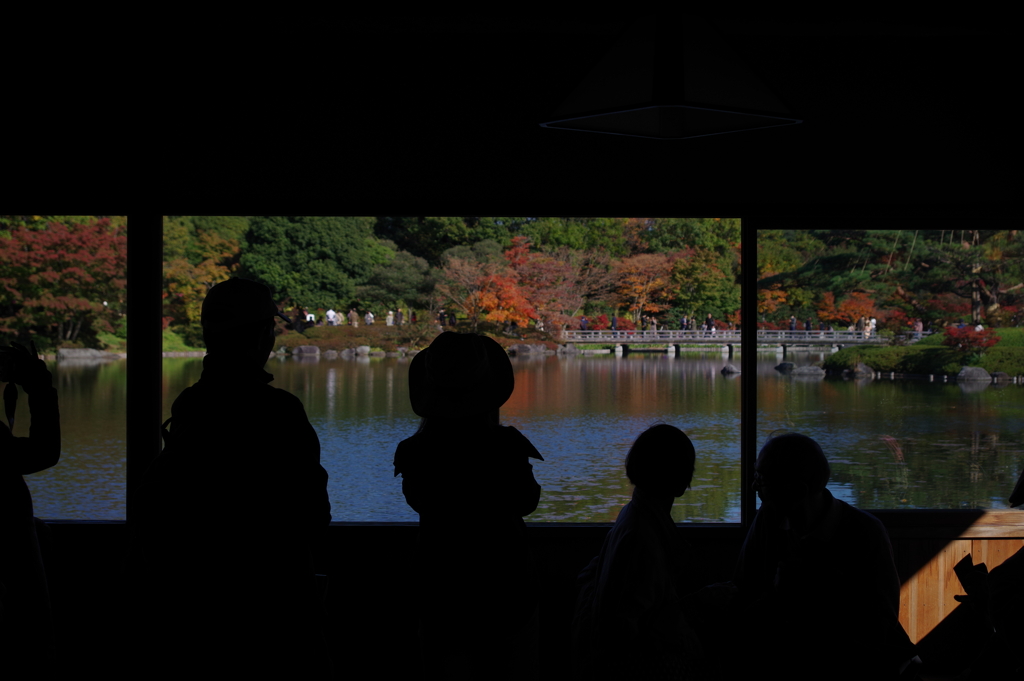 日本庭園_国営昭和記念公園