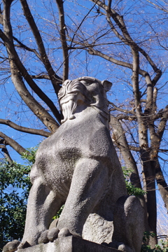 狛犬_靖国神社