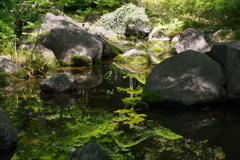 水鏡_大田黒公園