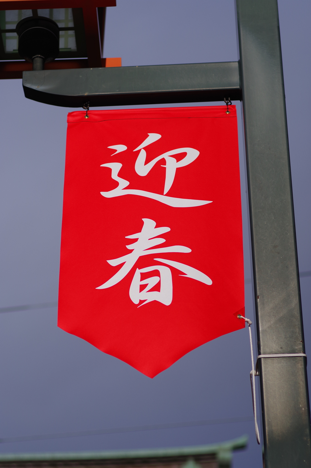 迎春