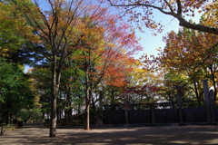 風景画風