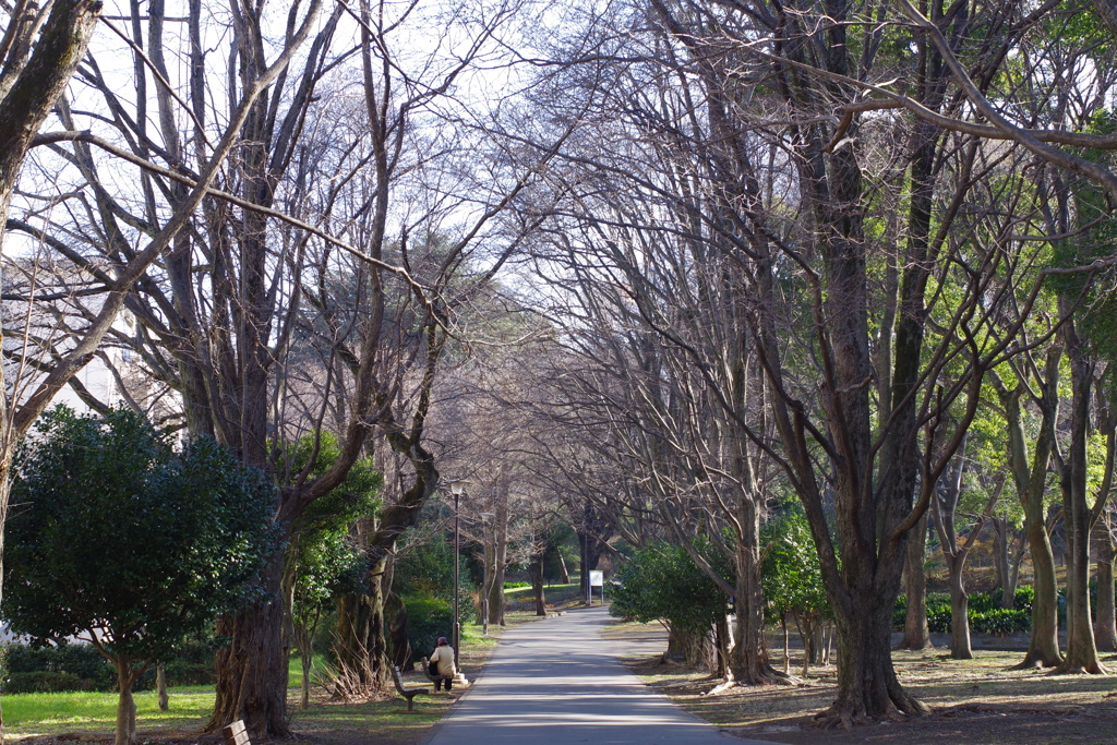 一眼レフと老婦人_戸山公園