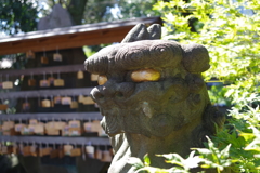 狛犬_白山神社