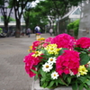プランター_西新宿