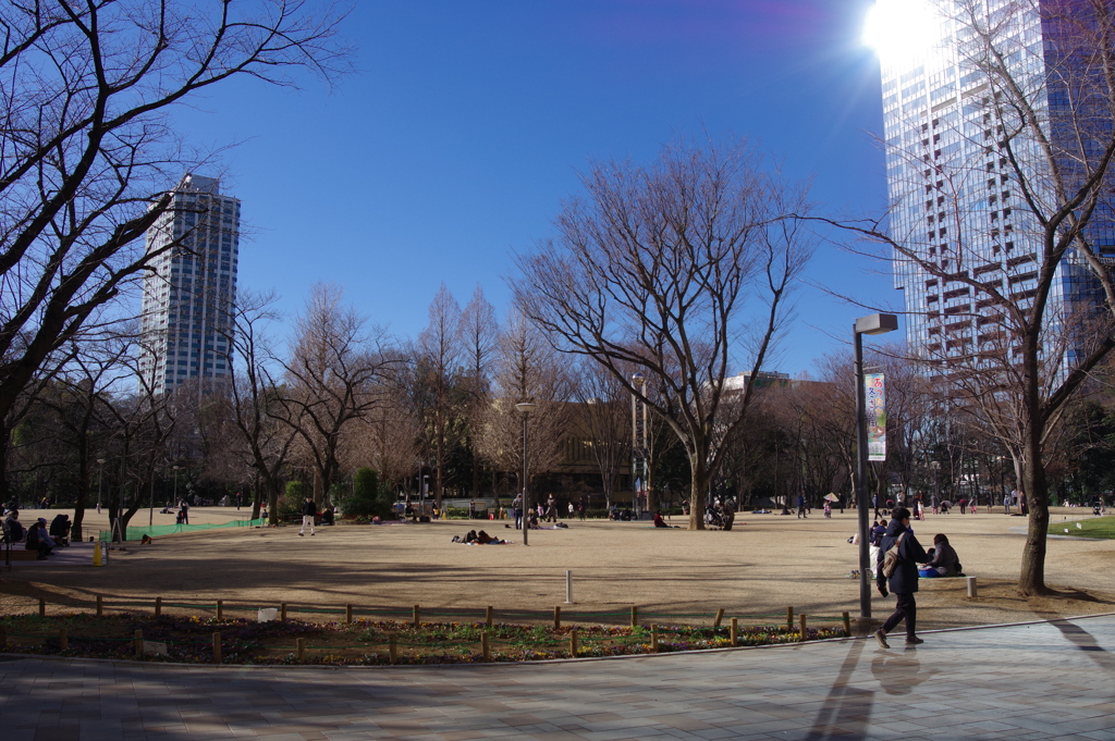 新宿中央公園
