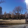 新宿中央公園