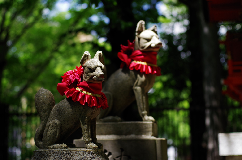 稲荷様の狐_新宿十二社熊野神社