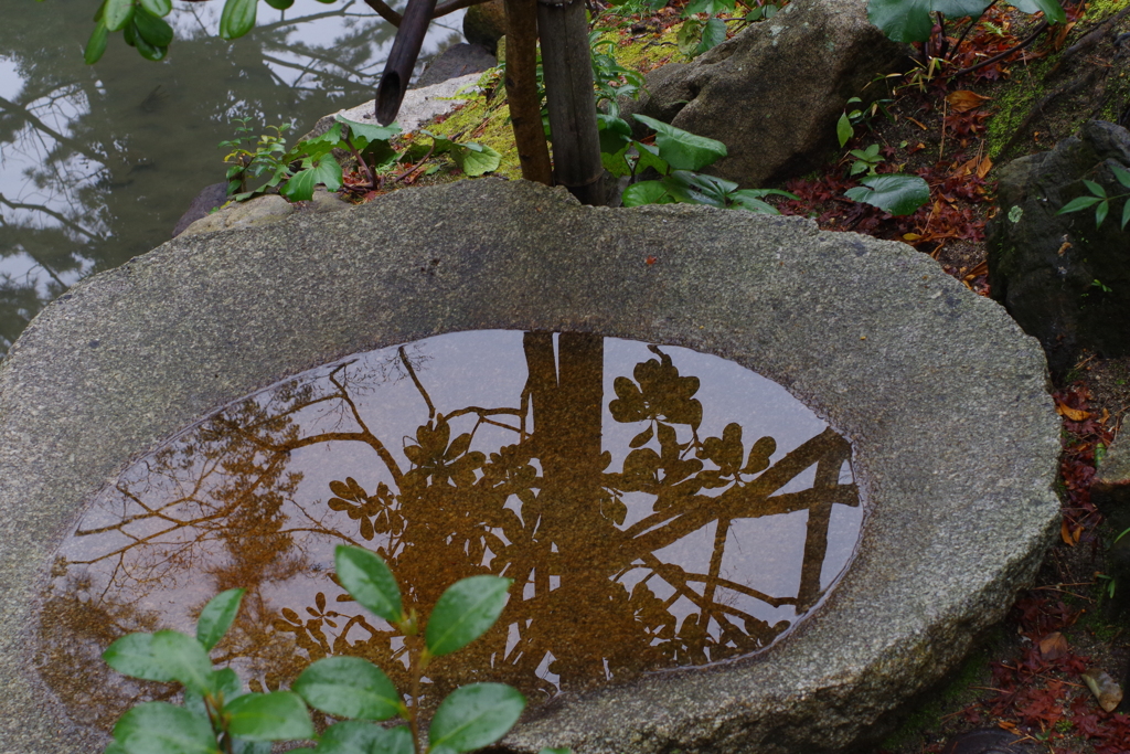 萬歳手水鉢_縮景園