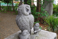 梟_池袋御嶽神社