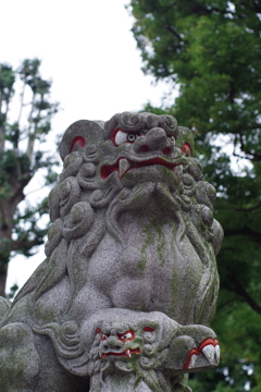 狛犬_荻窪白山神社