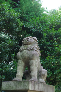 狛犬_赤坂氷川神社