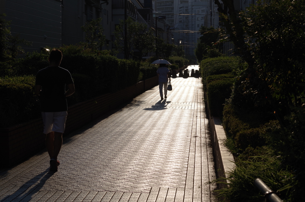 夕日の遊歩道