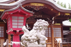 狛犬_鷺宮八幡神社