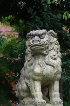 狛犬_新井天神北野神社