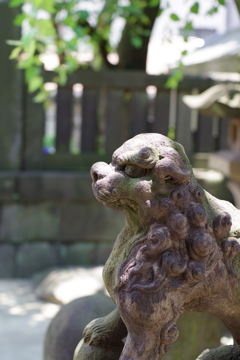 狛犬_高輪神社