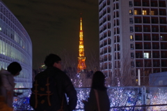 東京タワーとイルミネーション