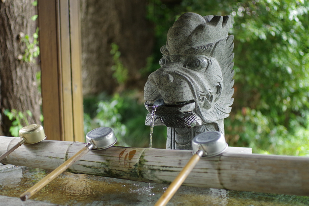 手水舎_龍_中野氷川神社