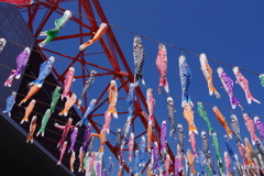 こいのぼり_東京タワー