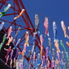 こいのぼり_東京タワー