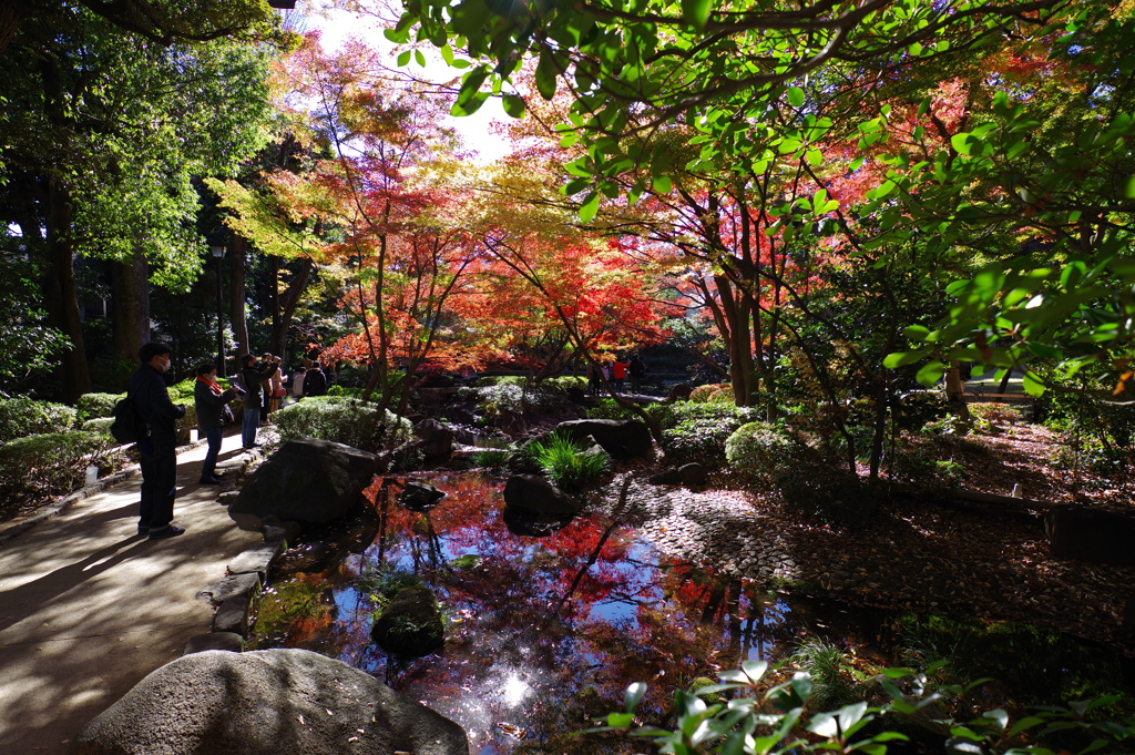 大田黒公園