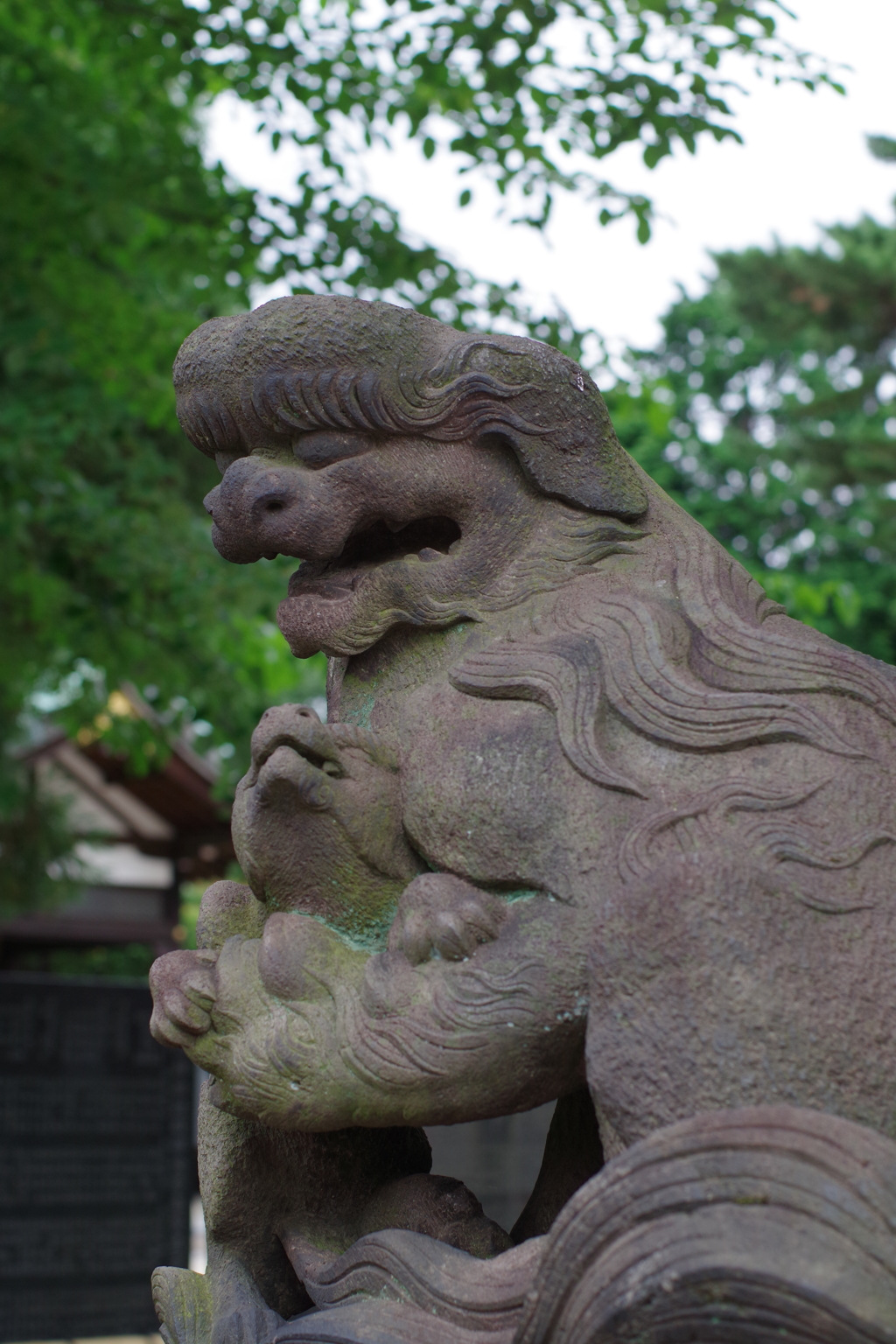 狛犬_沼袋氷川神社