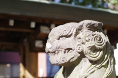狛犬_秋葉神社(表参道)