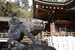 狛犬_筑波山神社