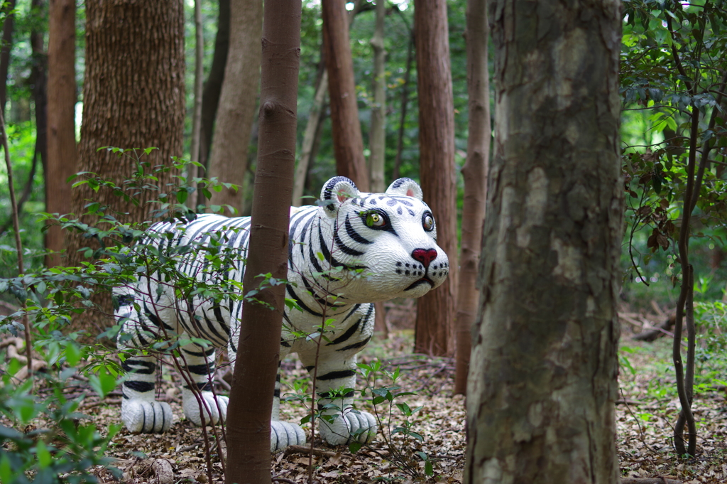「Animal 2012-01B」_神宮の杜野外彫刻展_明治神宮