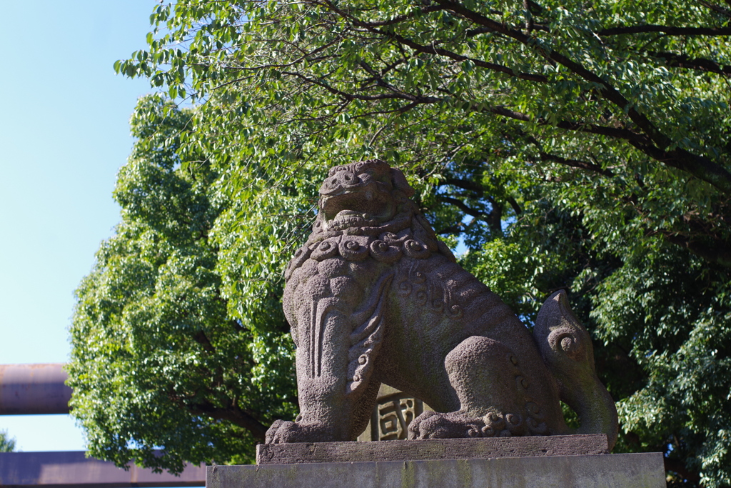 狛犬_靖国神社