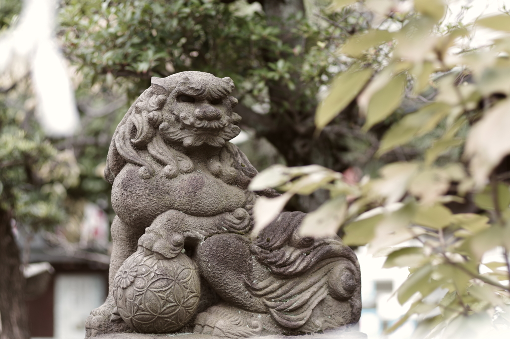 狛犬_鳩森八幡神社