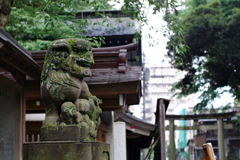 狛犬_大國魂神社