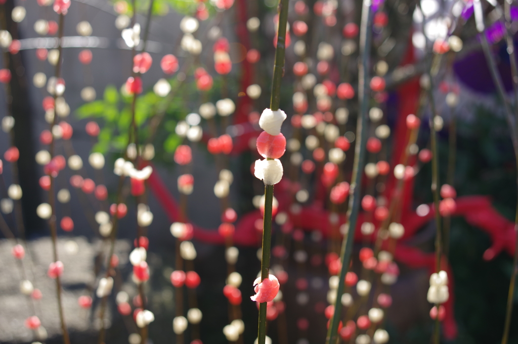 餅花_上野東照宮ぼたん苑