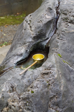 お手水所_富岡八幡宮