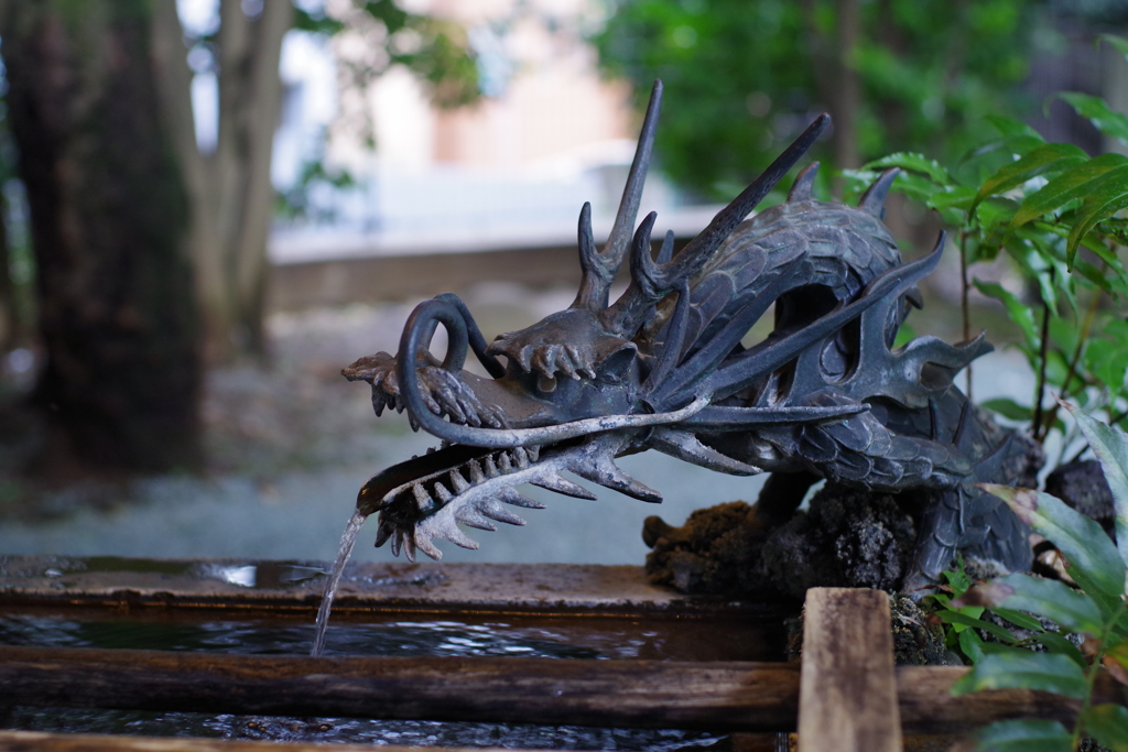 手水舎_龍_金王八幡宮