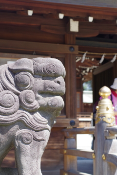 狛犬_井草八幡宮