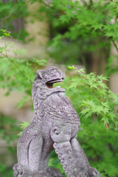 狛犬_須賀神社
