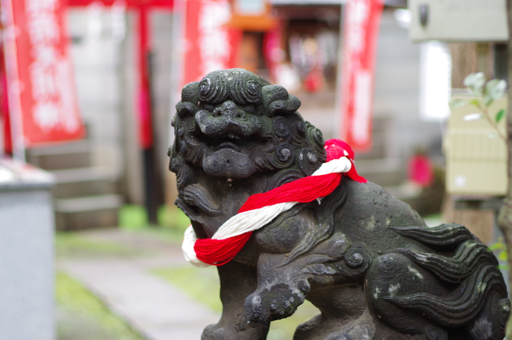 狛犬_気象神社_高円寺氷川神社