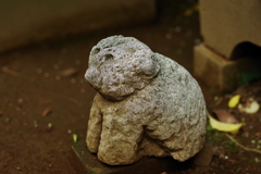 狛犬_渋谷氷川神社