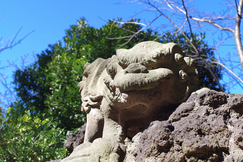 狛犬_長崎神社(豊島区)