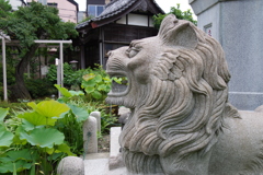 ライオン像_長善寺