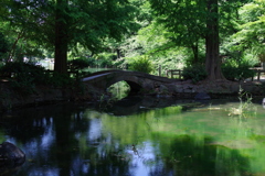 ひょうたん橋_井の頭恩賜公園