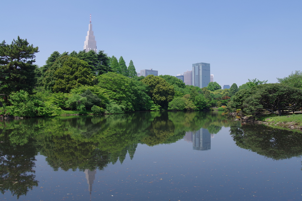 中の池_新宿御苑