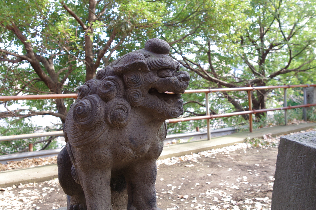 狛犬_諏方神社