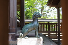 おいぬ様_武蔵御嶽神社