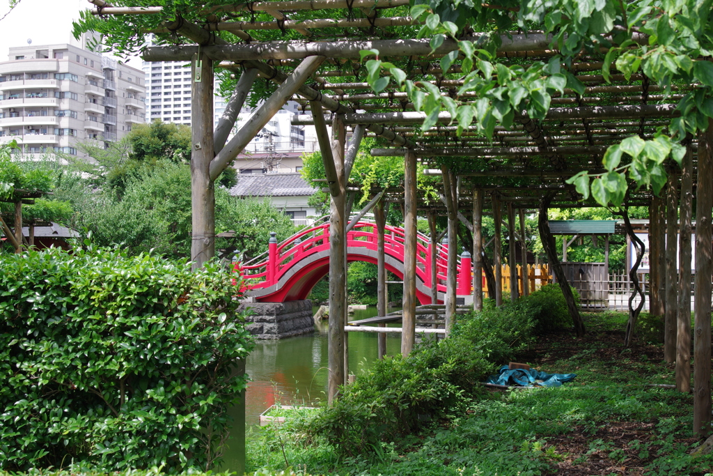 女橋_亀戸天神
