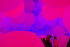 チームラボプラネッツ TOKYO